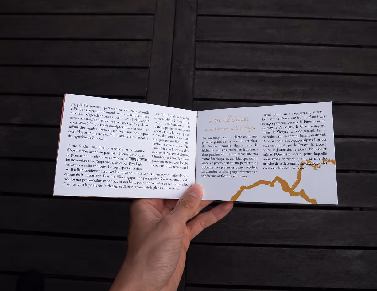 Présentation du domaine viticole sur la brochure