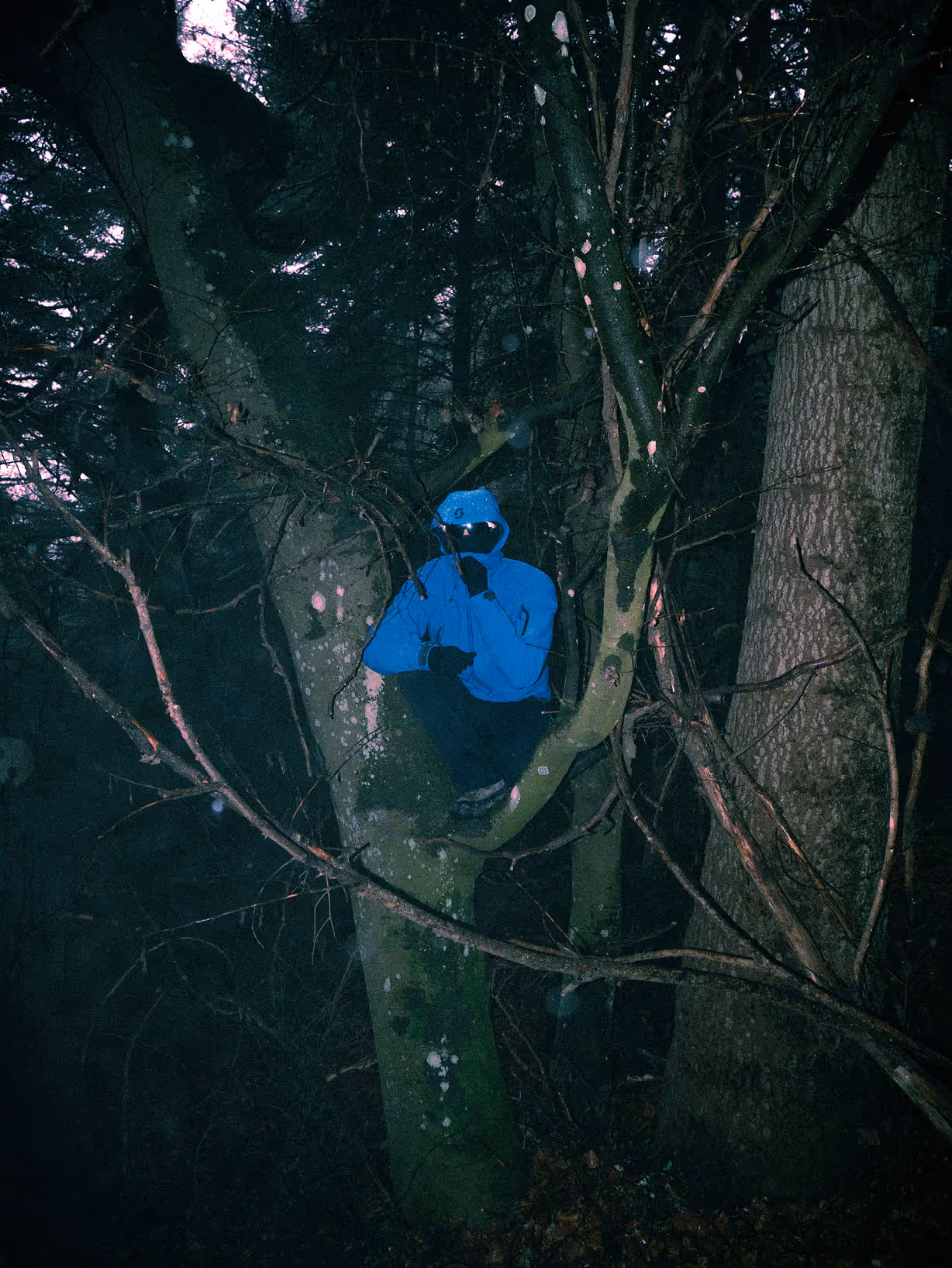 Personne ne se camouflant dans la forêt pour le shooting photo scott