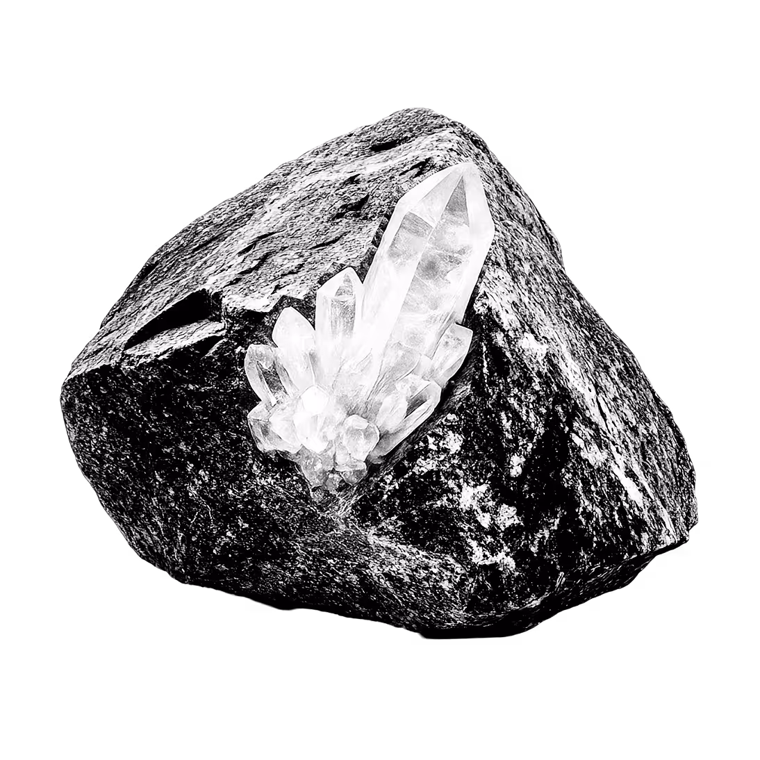 Clear quartz crystal cluster embedded in a rough dark rock.