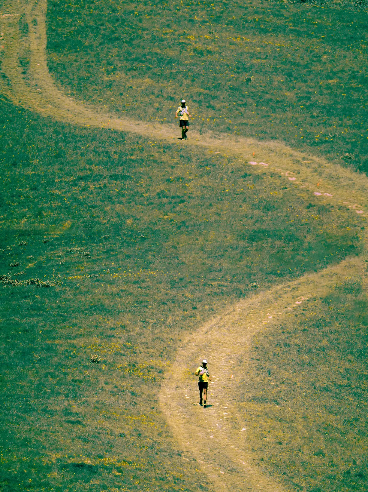Deux traileurs isolés courant sur un sentier serpentant à travers un vaste alpage verdoyant, vue en plongée