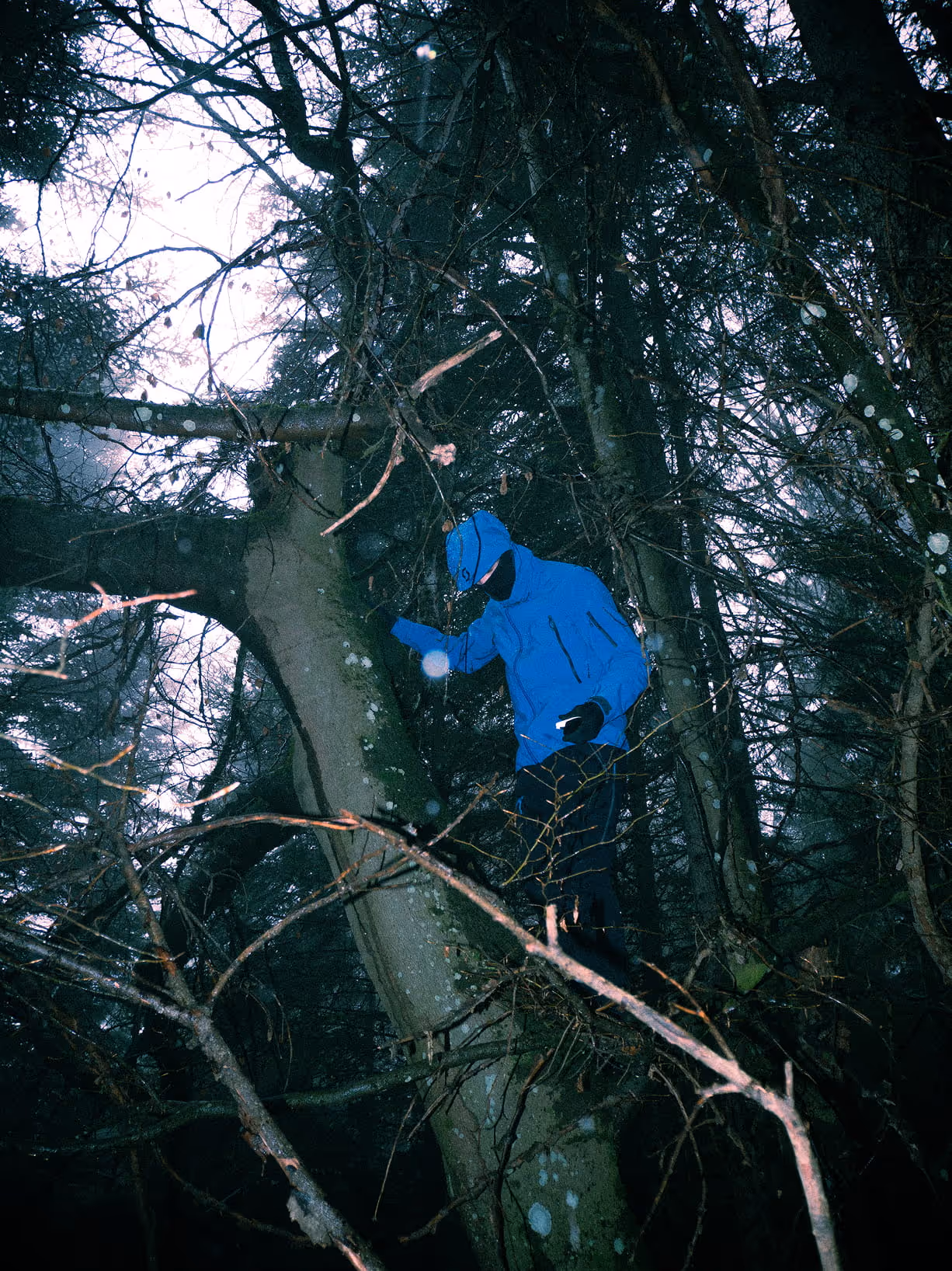 Personne grimpant aux arbres pour la promotion de la veste Scott